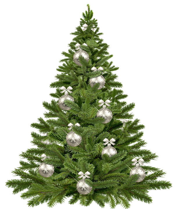 Download PNG image - Decorative Christmas Pine Tree PNG Image 