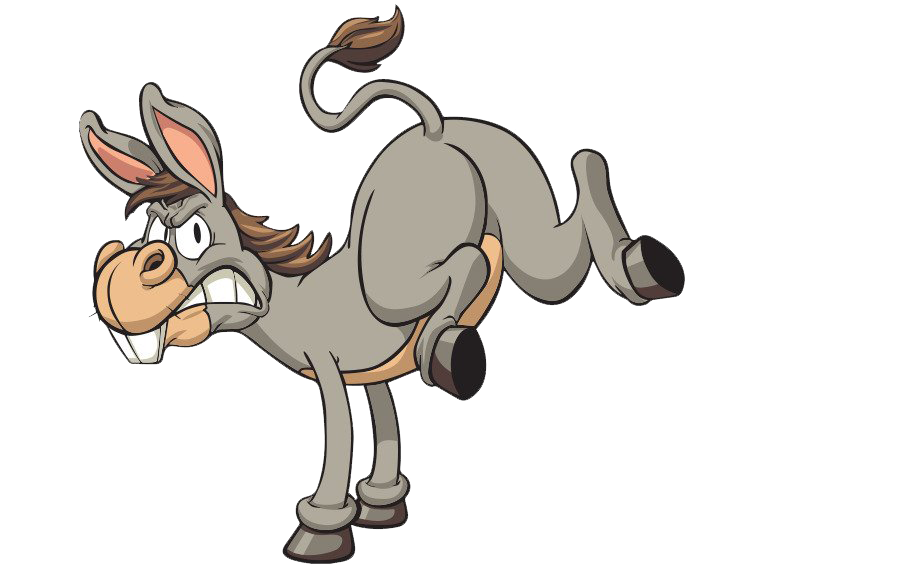 Download PNG image - Donkey PNG Picture 