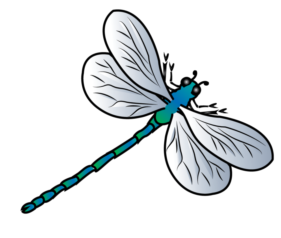 Download PNG image - Dragonfly Background PNG 