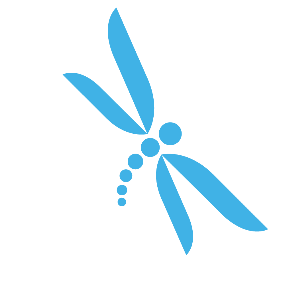 Download PNG image - Dragonfly PNG Photo 