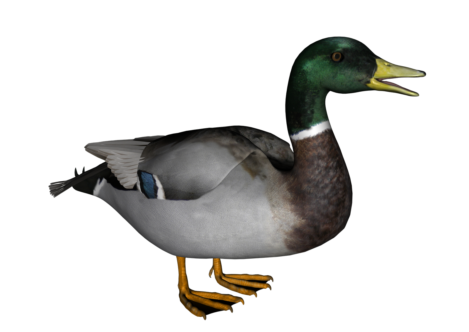 Download PNG image - Duck PNG Free Download 