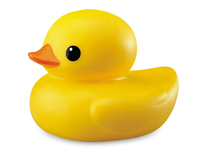 Download PNG image - Duck PNG Pic 