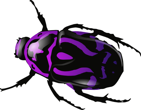 Download PNG image - Dung Beetle PNG Image 