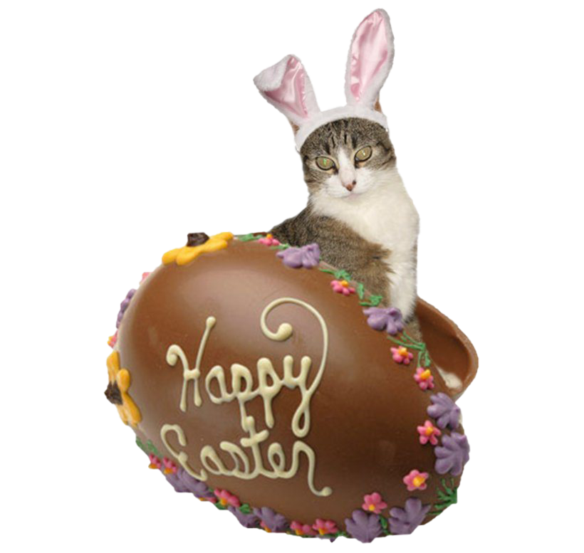 Download PNG image - Easter Bunny Chocolate PNG Free Download 
