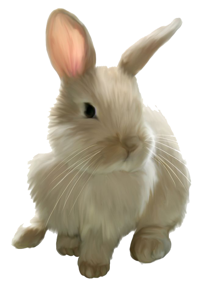 Download PNG image - Easter Rabbit PNG Image 