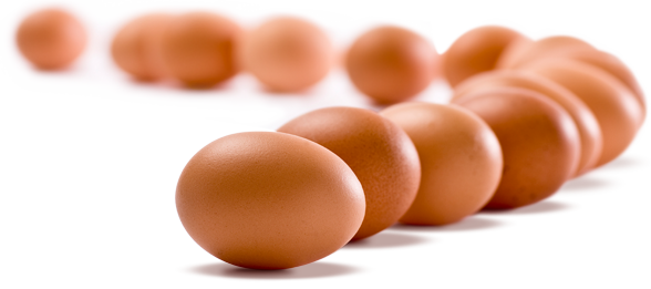 Download PNG image - Eggs PNG HD 