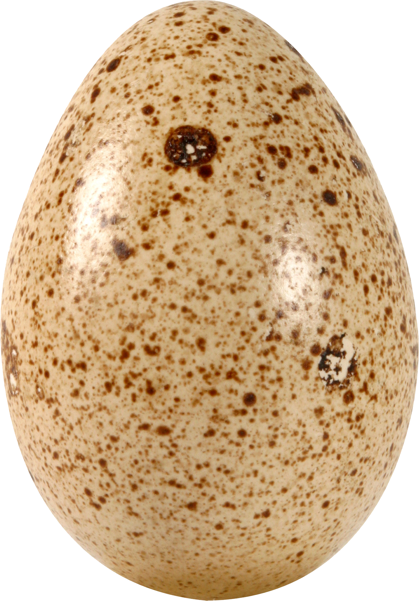 Download PNG image - Eggs PNG Picture 