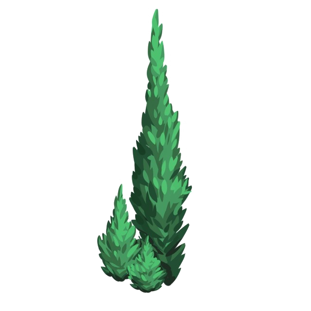 Download PNG image - Evergreen Tree PNG Pic 