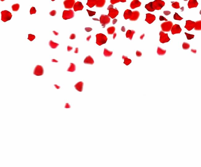 Download PNG image - Falling Rose Petals PNG Clipart 