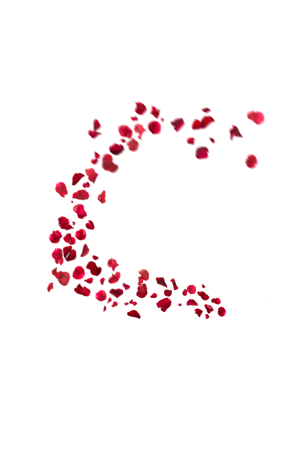 Download PNG image - Falling Rose Petals PNG HD 