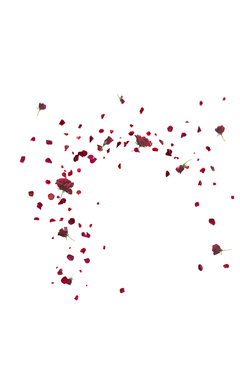 Download PNG image - Falling Rose Petals PNG Pic 