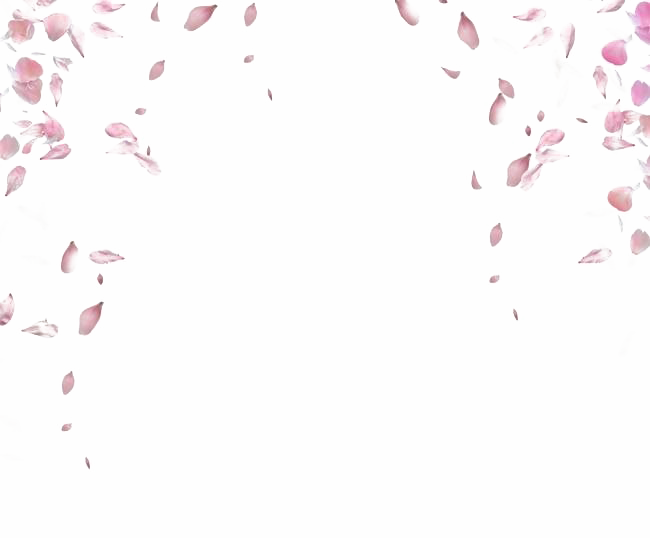 Download PNG image - Falling Rose Petals PNG Transparent Image 