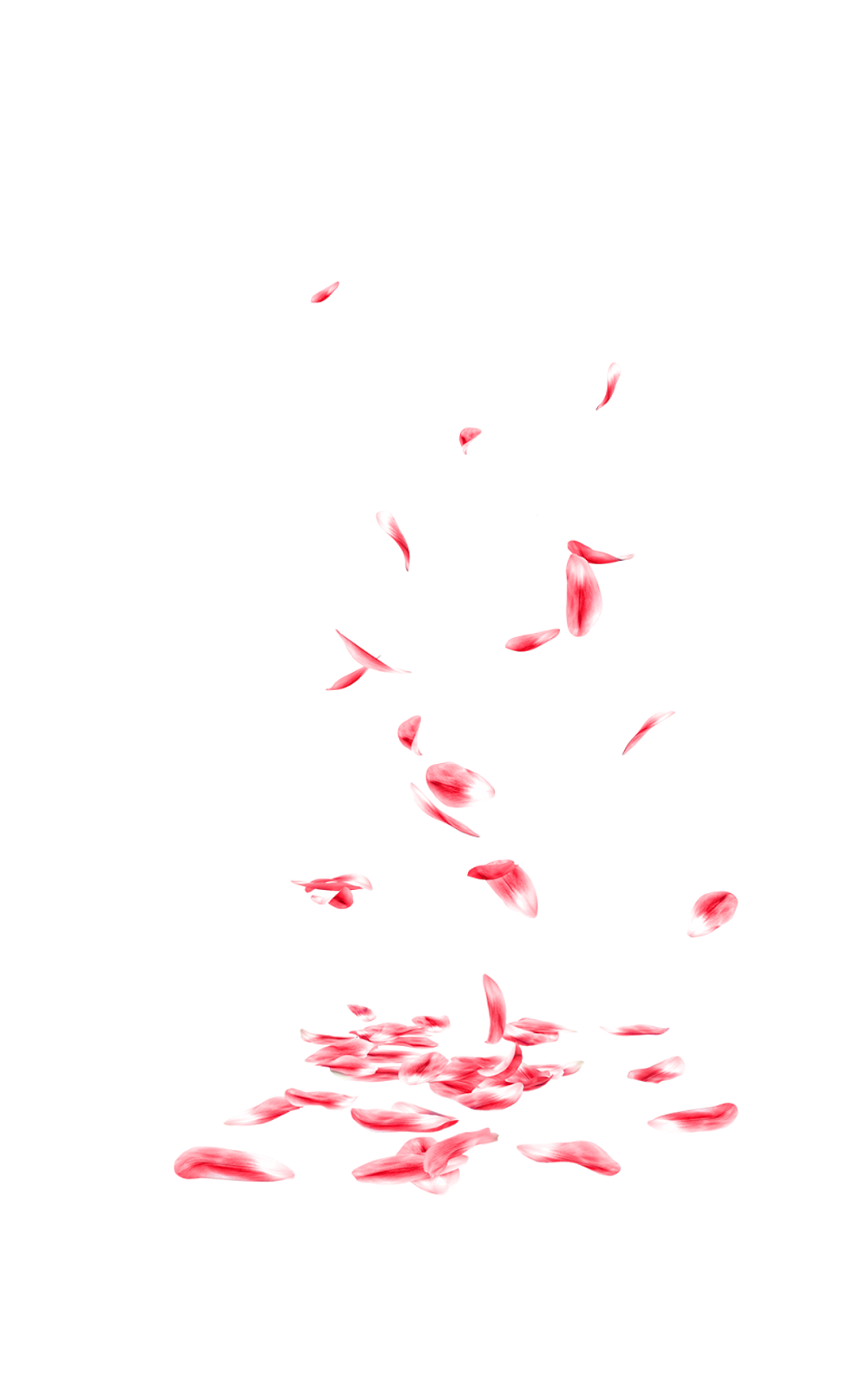 Download PNG image - Falling Rose Petals PNG Transparent 