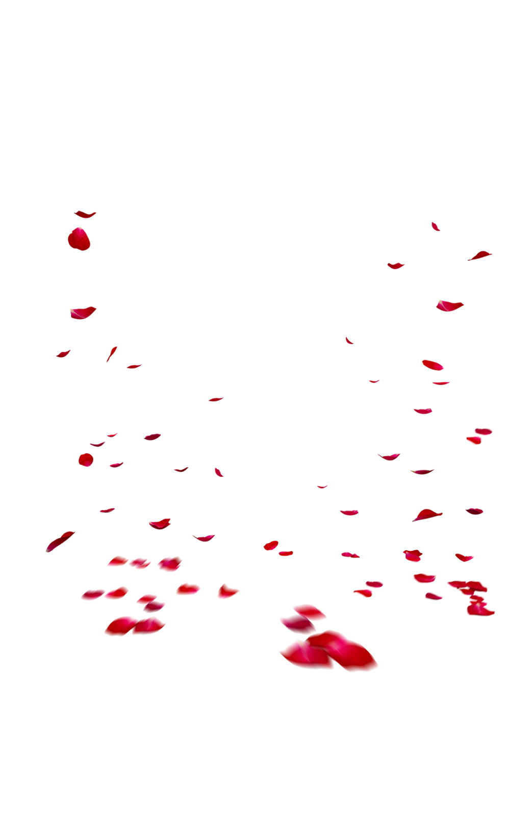 Download PNG image - Falling Rose Petals Transparent Images PNG 