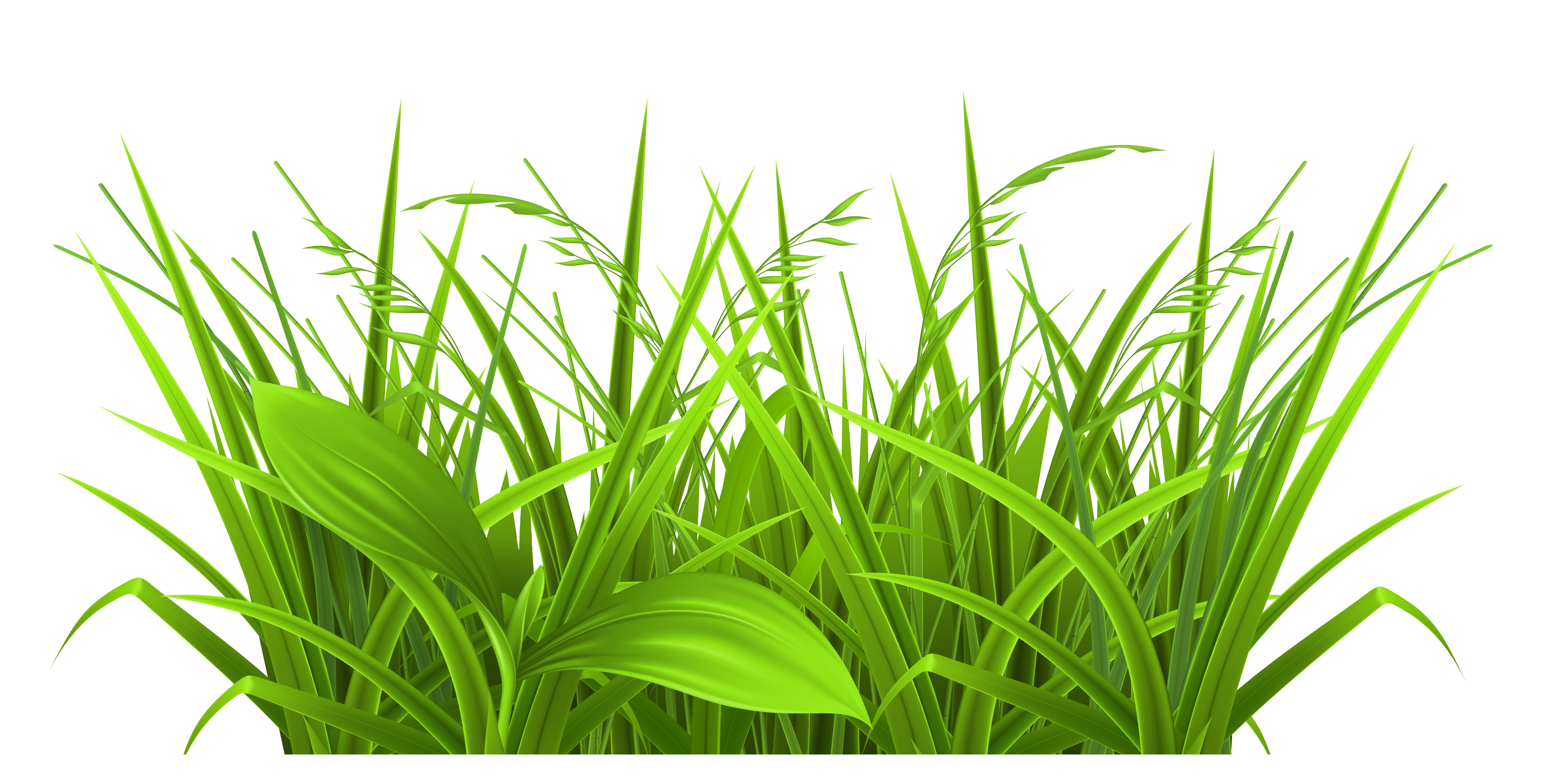 Download PNG image - Field PNG File 