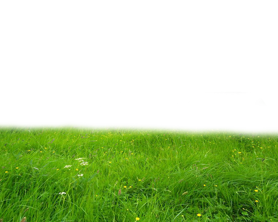 Download PNG image - Field PNG HD 