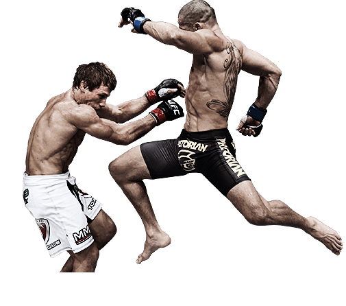 Download PNG image - Fight PNG Transparent Picture 