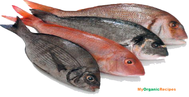 Download PNG image - Fish Meat PNG File 