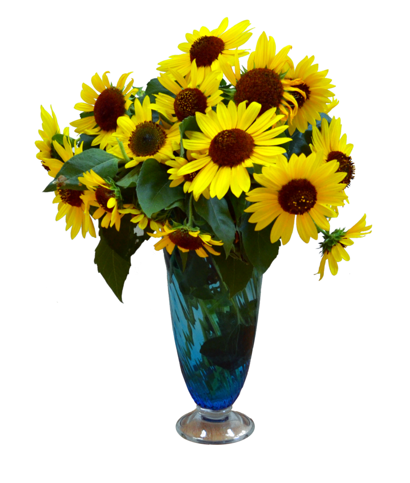 Download PNG image - Flower Vase Download PNG Image 