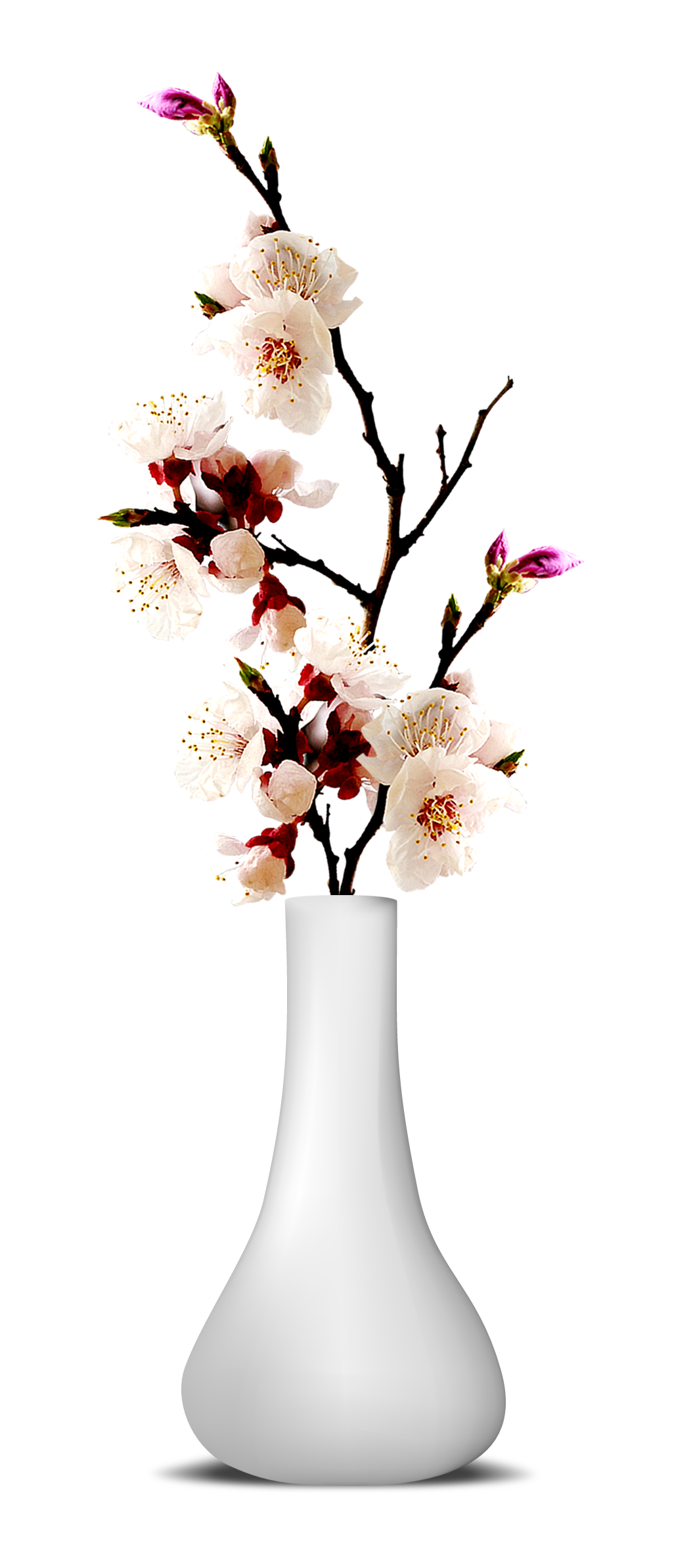 Download PNG image - Flower Vase PNG Transparent Image 