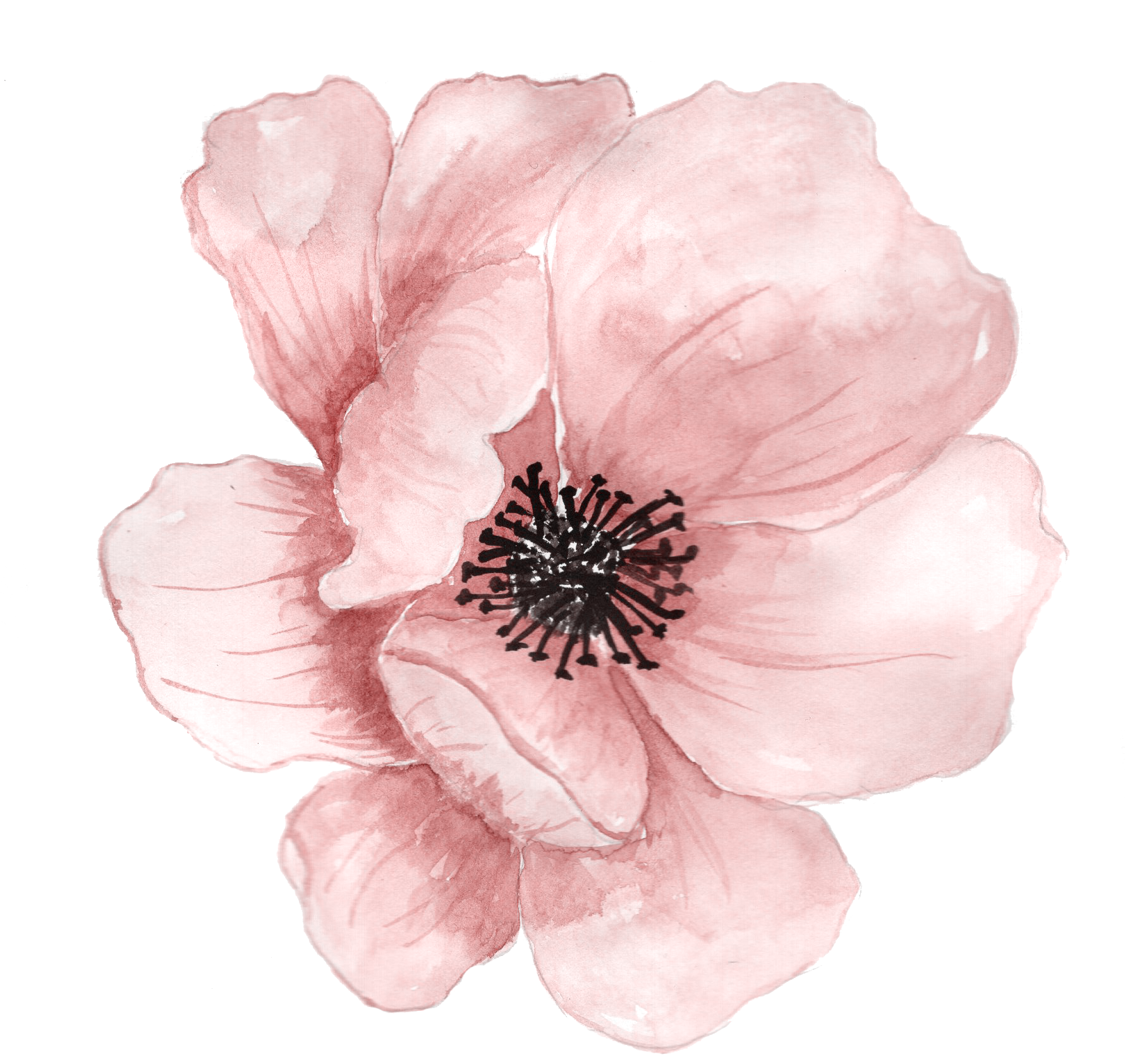 Download PNG image - Flower Watercolor Art PNG Photos 