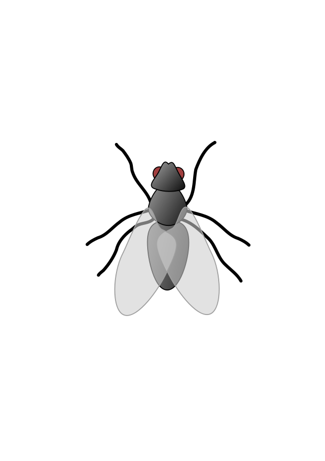 Download PNG image - Fly PNG Transparent HD Photo 