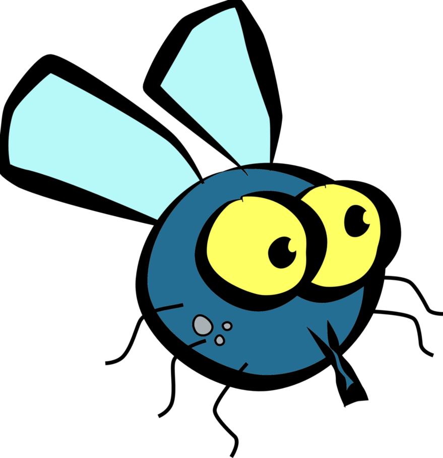 Download PNG image - Fly PNG Transparent Picture 