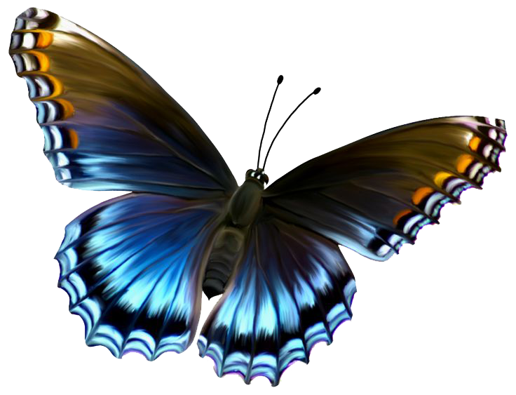 Download PNG image - Flying Butterflies 