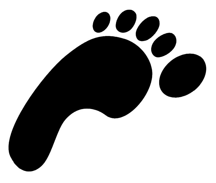 Download PNG image - Footprints Transparent PNG 