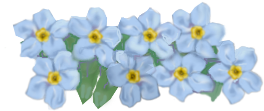 Download PNG image - Forget Me Not PNG HD 