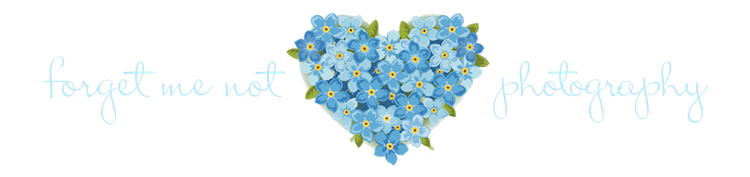 Download PNG image - Forget Me Not PNG Photo 