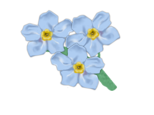 Download PNG image - Forget Me Not PNG Transparent Picture 