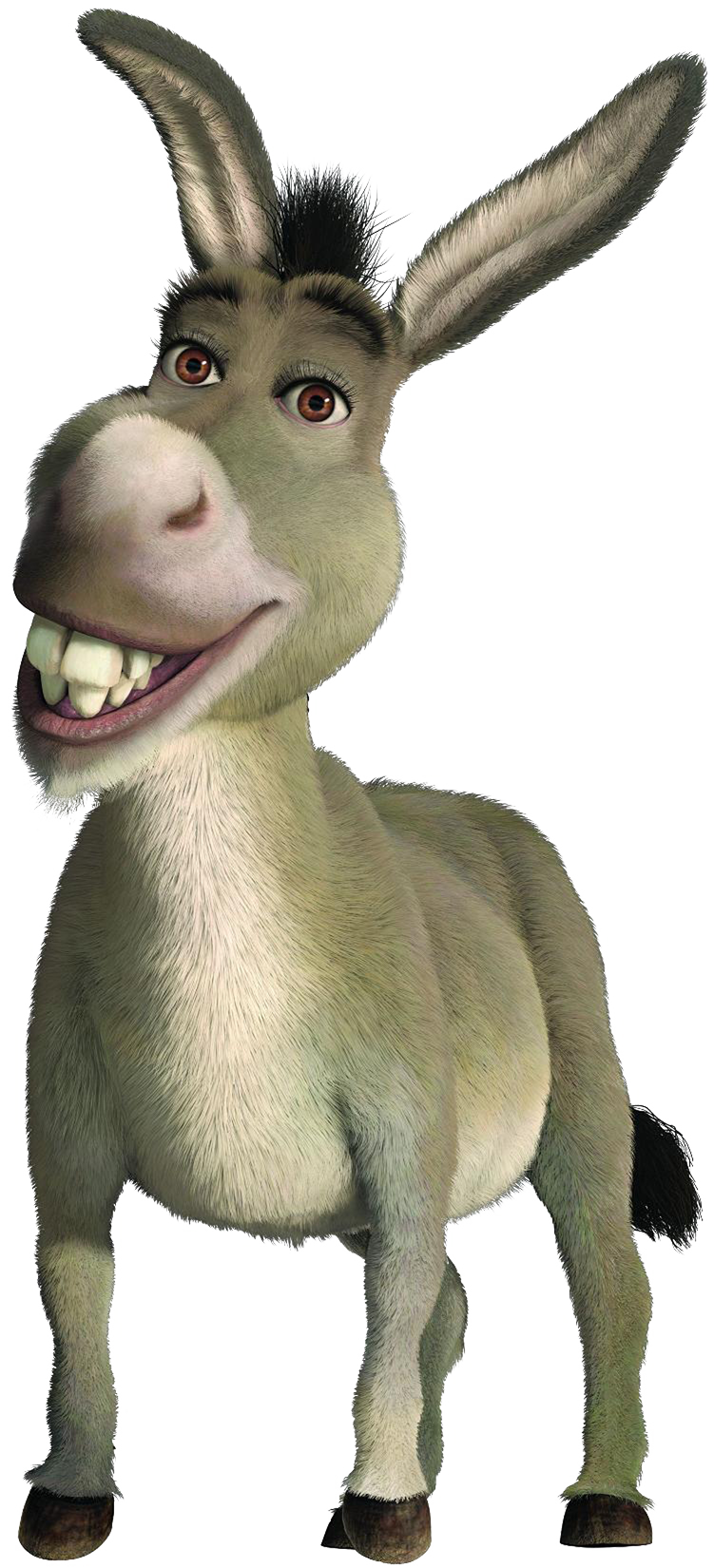 Download PNG image - Funny Donkey PNG Clipart 