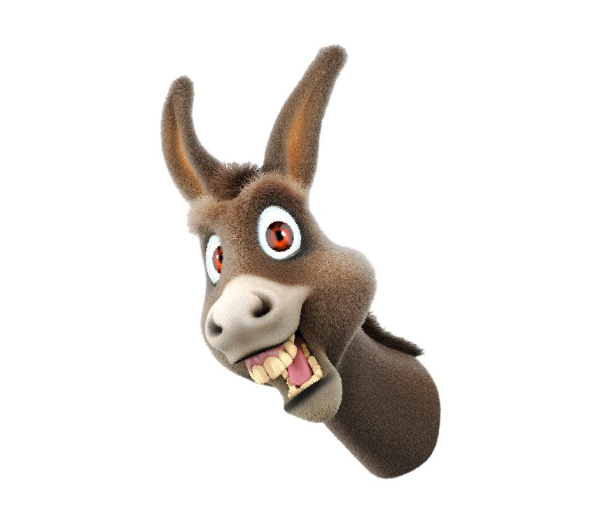 Download PNG image - Funny Donkey PNG Photos 