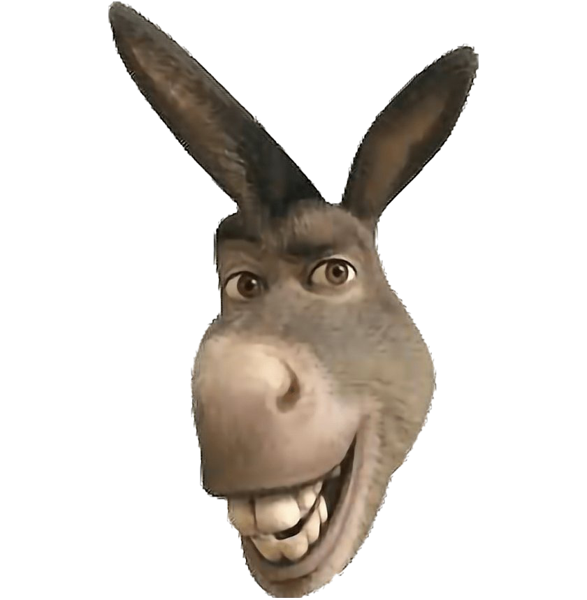 Download PNG image - Funny Donkey PNG Transparent Image 