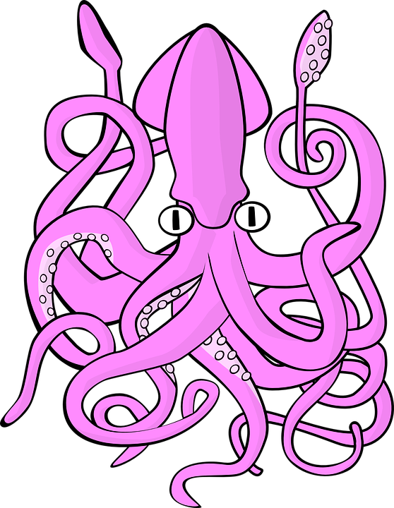 Download PNG image - Giant Squid PNG Picture 