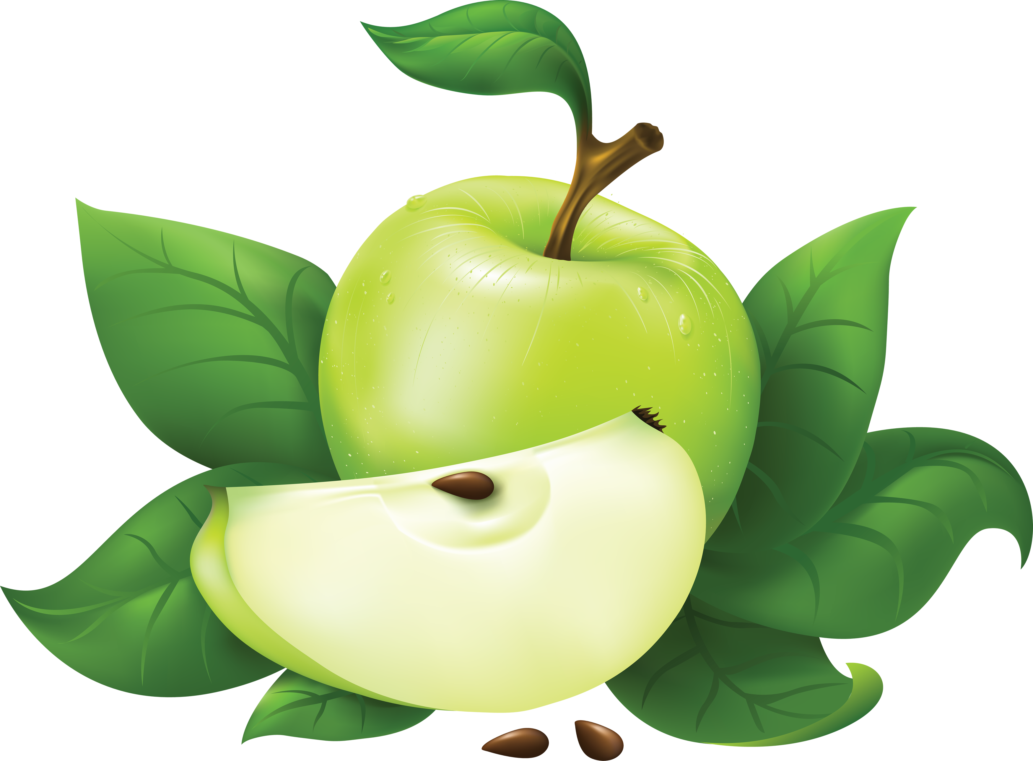 Download PNG image - Green Apple PNG Free Download 