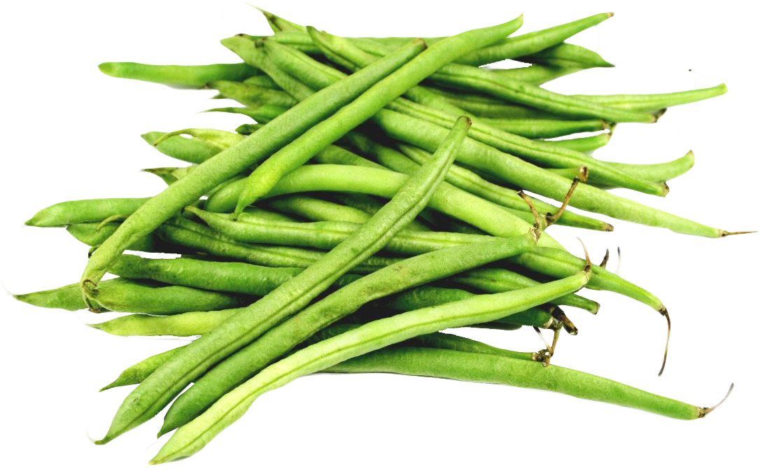 Download PNG image - Green Beans Transparent PNG 