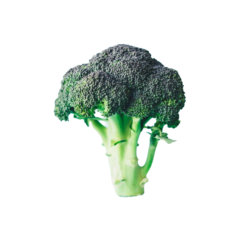 Download PNG image - Green Broccoli Background PNG 