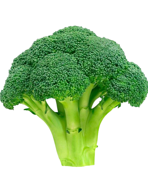 Download PNG image - Green Broccoli PNG Free Download 
