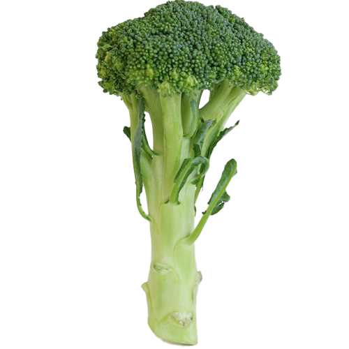 Download PNG image - Green Broccoli PNG HD 