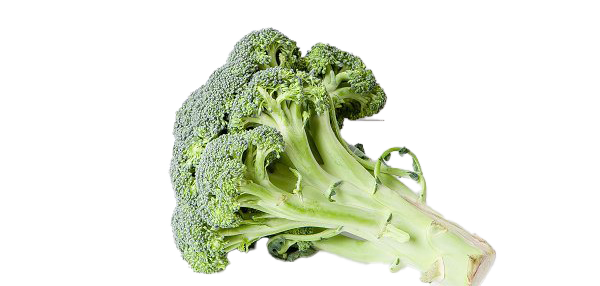 Download PNG image - Green Broccoli PNG Transparent HD Photo 