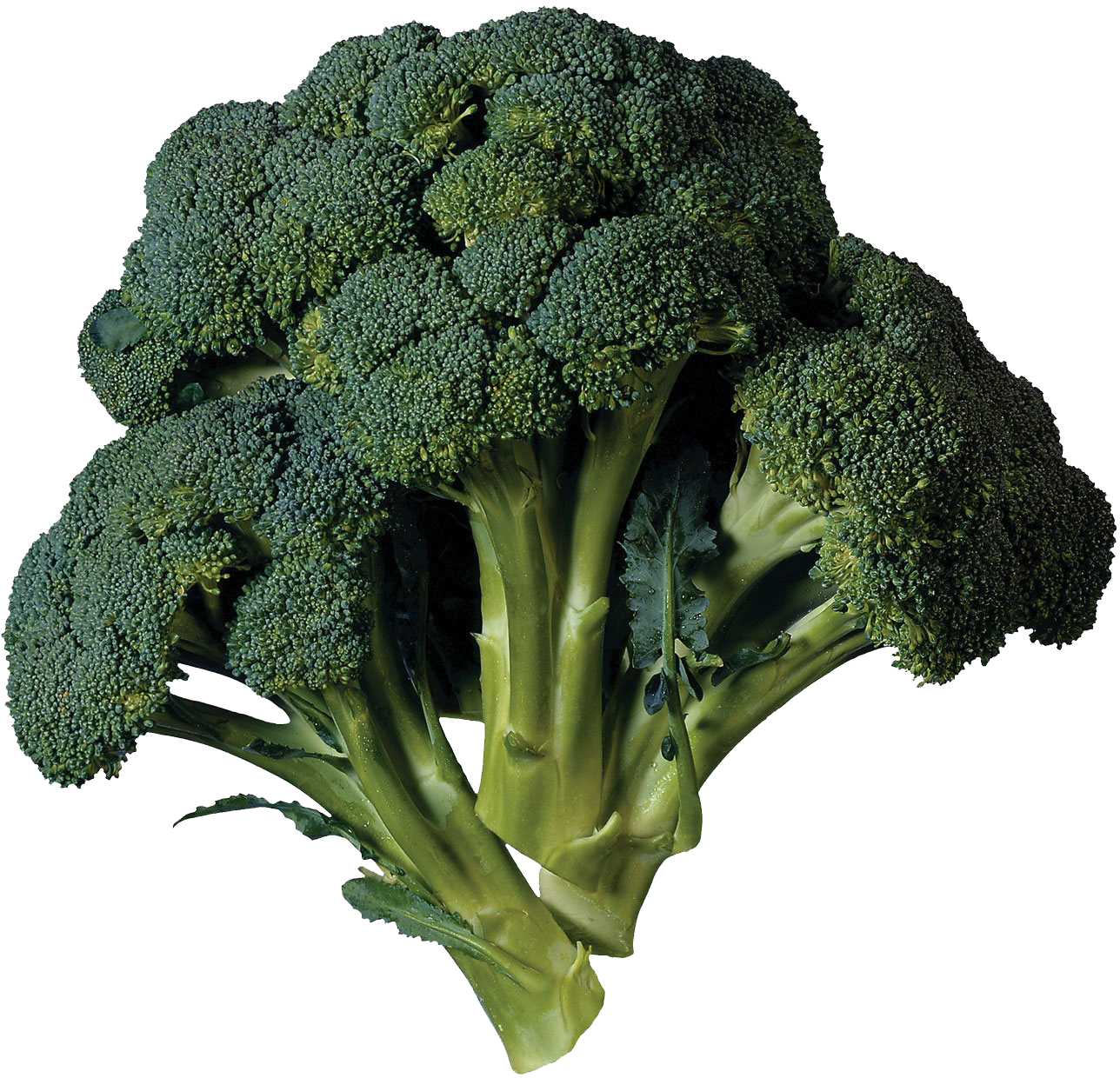 Download PNG image - Green Broccoli PNG Transparent Image 
