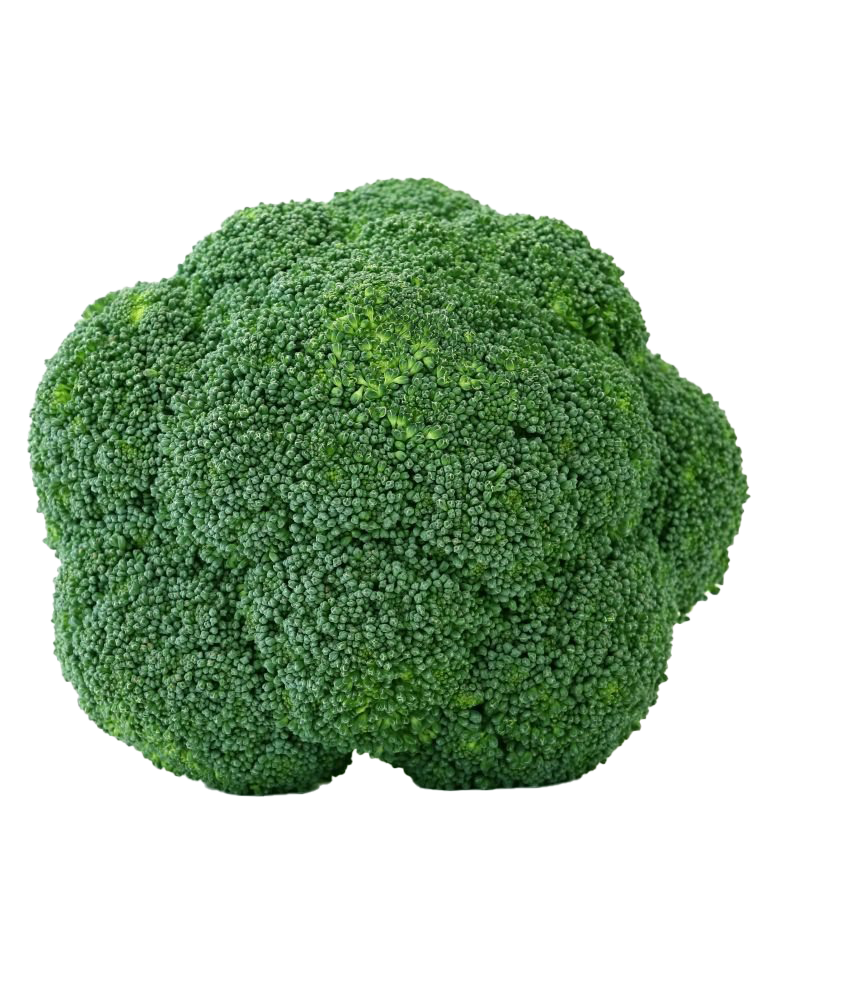 Download PNG image - Green Broccoli PNG Transparent Picture 