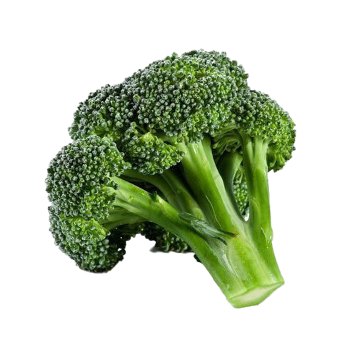 Download PNG image - Green Broccoli PNG Transparent 