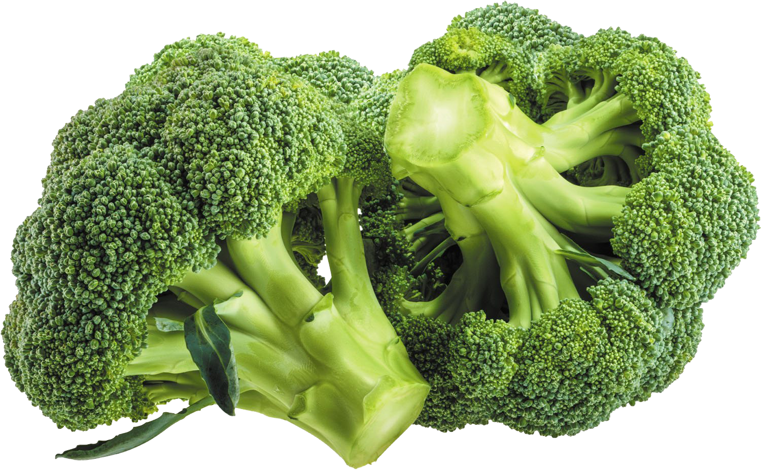 Download PNG image - Green Broccoli Transparent Images PNG 