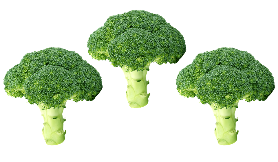 Download PNG image - Green Broccoli Transparent PNG 