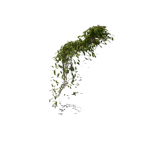 Download PNG image - Green Leaves Ivy Hanging PNG Pic 