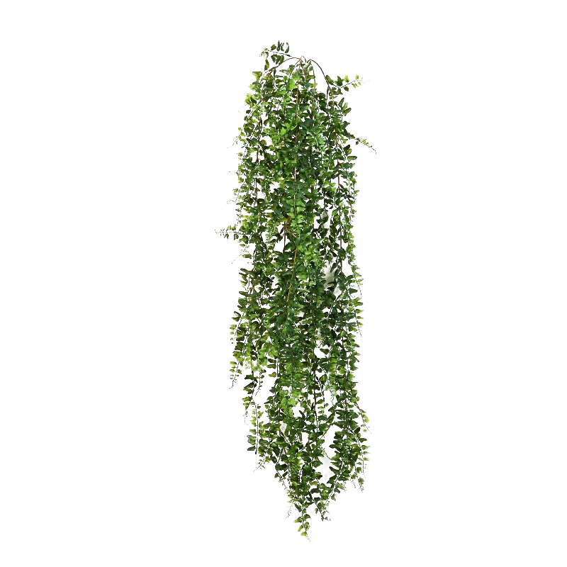 Download PNG image - Green Leaves Ivy Hanging Transparent Background 