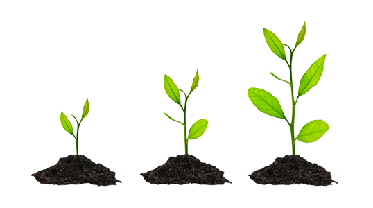 Download PNG image - Grow PNG Background Image 